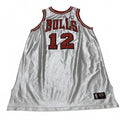 Chicago Bulls #12 Kirk Hinrich Basketball Jersey White Red No tags