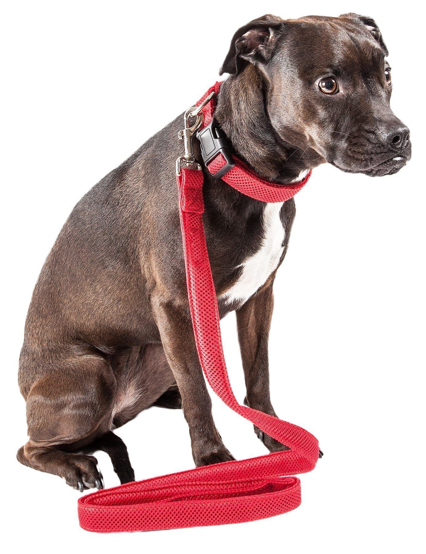 Pet Life ®  'Aero Mesh' Breathable and Adjustable Dual Sided Thick Mesh Dog Leash