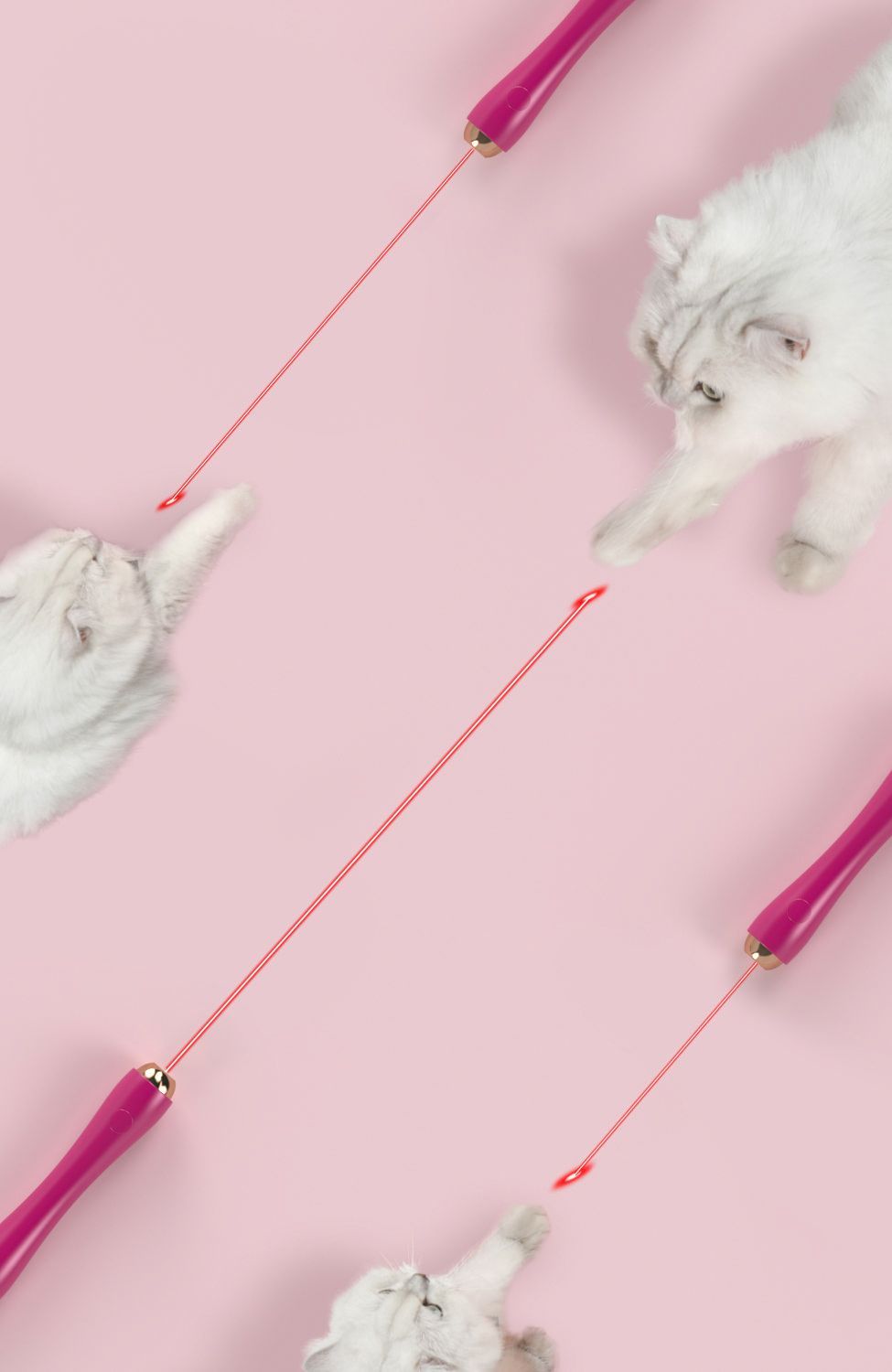 Pet Life ® 'Wander-cat' Customizeable and Extendable 10-in-1 Attachment Laser Cat Teaser